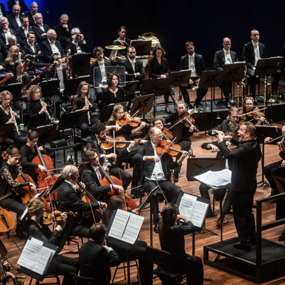 mahler8